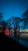FB_IMG_1738636620076.jpg