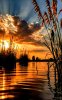 FB_IMG_1756049194667.jpg