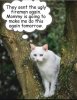 FB_IMG_1760433934206.jpg