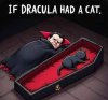 FB_IMG_1761231062442.jpg