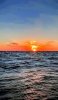 FB_IMG_1761529820576.jpg