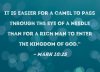 Bible Camel Verse.jpg