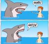 FB_IMG_1762311153660.jpg