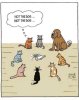 FB_IMG_1747602559692.jpg