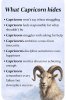 FB_IMG_1786291128510.jpg